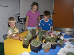  Kinder malen Kakteen 2009